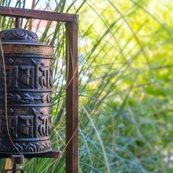 Natural Rhythms Integrative Medicine - Spiritual wellness is essential part of Healthcare at Natural Rhythms