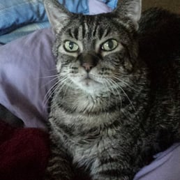 My precious Scamp