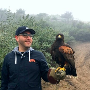 Sky Falconry - Specialty Schools Near Me - Alpine, California Sky Falconry - Specialty Schools Near Me - Alpine, California