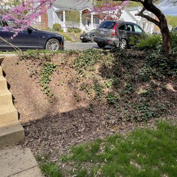 Jose De La Cruz - Front yard before - Landscaping Near Me - Alexandria, Virginia Jose De La Cruz - Front yard before - Landscaping Near Me - Alexandria, Virginia
