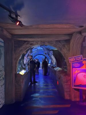 SEA LIFE at Mall of America by null