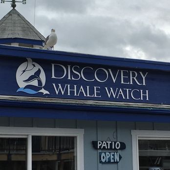 Discovery Whale Watch - Whale Watching Tours Near Me - Monterey, California Discovery Whale Watch - Whale Watching Tours Near Me - Monterey, California