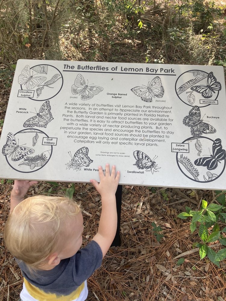 Lemon Bay Park Image