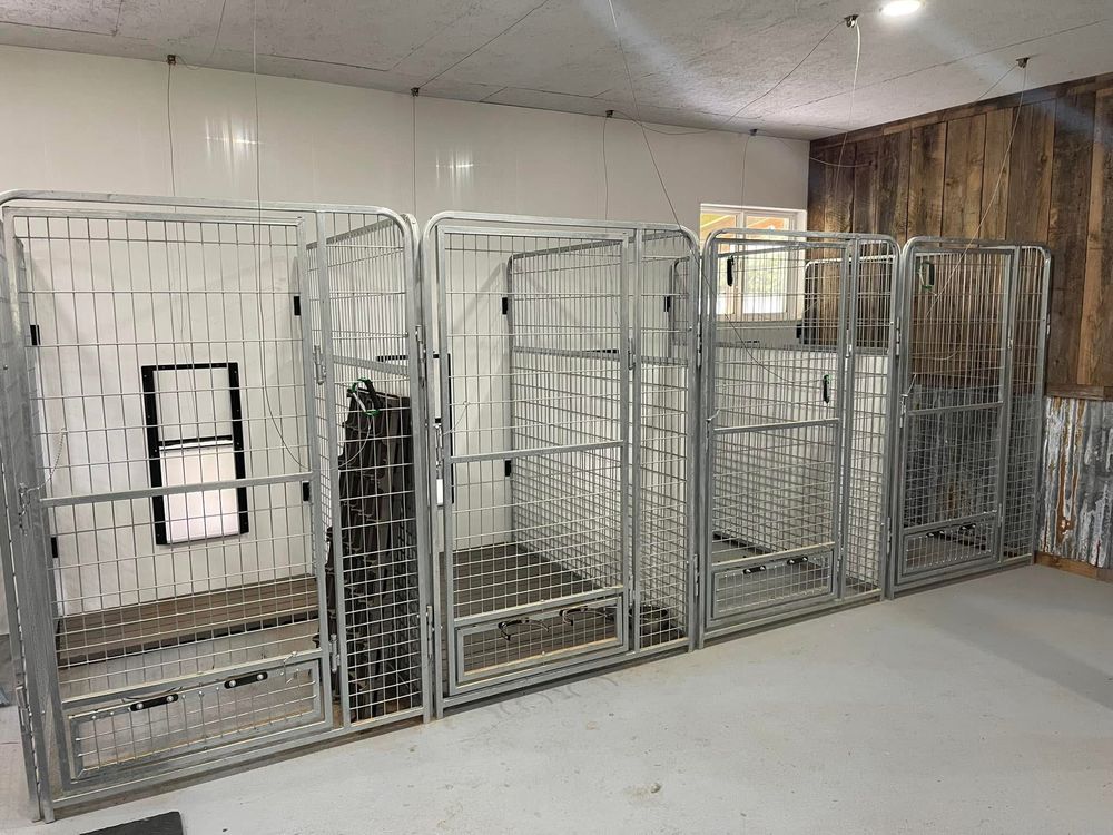 Delphi Dog Lodge - pet boarding facility in Olympia, WA