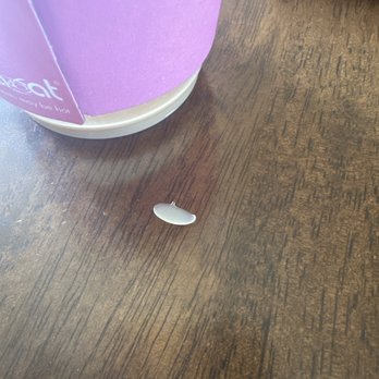 Series A Coffee - weird piece of plastic? - Coffee & Tea Near Me - Beverly Hills, California Series A Coffee - weird piece of plastic? - Coffee & Tea Near Me - Beverly Hills, California