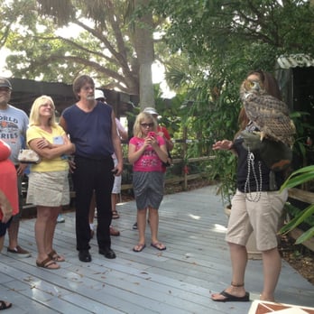 Peace River Wildlife Center - Owl talk - Animal Shelters Near Me - Punta Gorda, Florida Peace River Wildlife Center - Owl talk - Animal Shelters Near Me - Punta Gorda, Florida