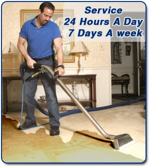 Master GreenSTAR Pro Cleaning, Restoration & Remediation - mold inspector in Long Grove, IL