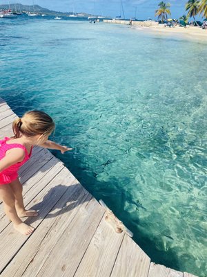 The Hotel on the Cay by null