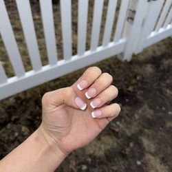 Venus Nail Spa