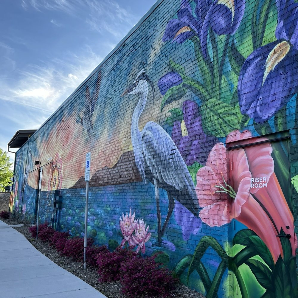 Hoppin’ Rock Hill - Outdoor mural - Bars Near Me - Rock Hill, South Carolina