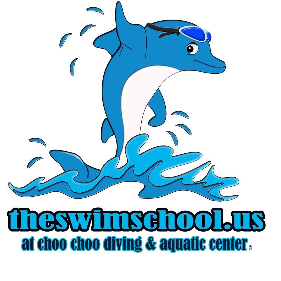 The Swim School Logo