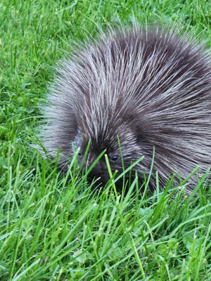 Wellesley Island State Park by null