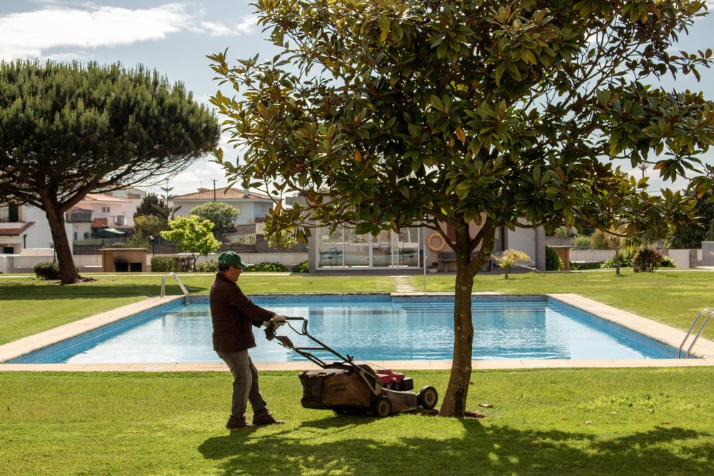 Western Yard & Maintenance - tree service in Star, ID