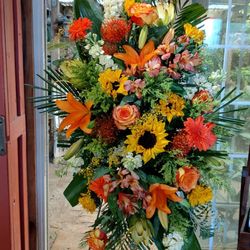 The Rain Forest Florist