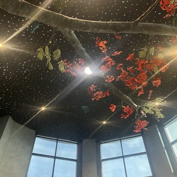 Pal Campo Restaurant - Cool lit up sky that stars actually shoot across - Puerto Rican Near Me - Lake Mary, Florida Pal Campo Restaurant - Cool lit up sky that stars actually shoot across - Puerto Rican Near Me - Lake Mary, Florida