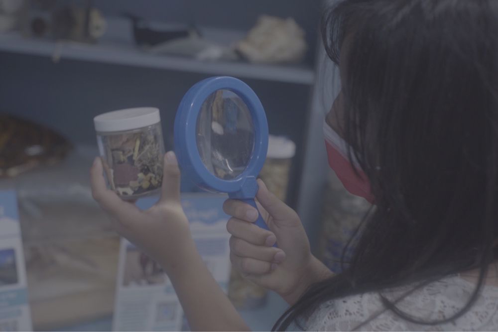 HEAL THE BAY AQUARIUM Updated October 2024 413 Photos & 156 Reviews