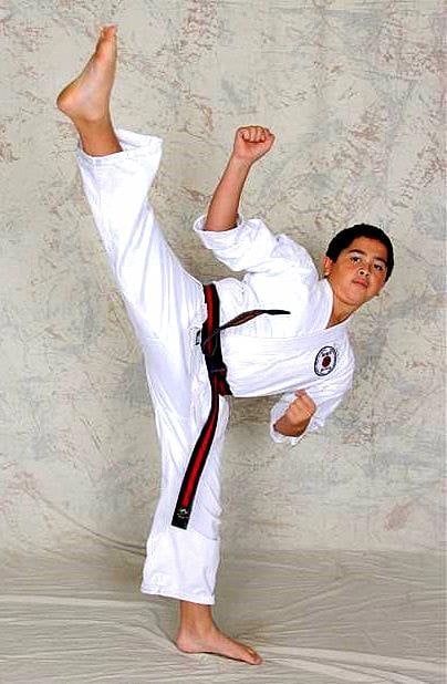 Cerezo's Martial Arts Logo