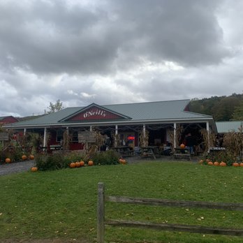 O'Neill's Orchard - Farm stand - Fruits & Veggies Near Me - LaFayette, New York O'Neill's Orchard - Farm stand - Fruits & Veggies Near Me - LaFayette, New York
