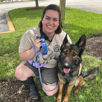 Dog Training Elite - Passed her K9 good citizen test - Pet Training Near Me - Port St. Lucie, Florida