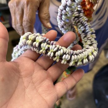 Martha's Lei Stand - This crown flower is gorgeous - Florists Near Me - Honolulu, Hawaii Martha's Lei Stand - This crown flower is gorgeous - Florists Near Me - Honolulu, Hawaii