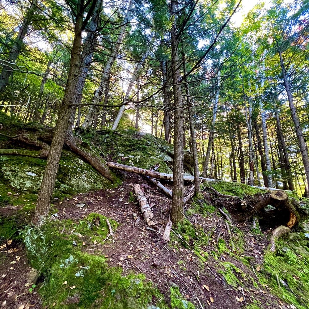 Bingham Falls - Views along the Mill Trail to the falls (Early October 2023) - Hiking Near Me - Stowe, Vermont