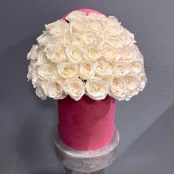 Art Flowers  - 50 white roses in a velvet box