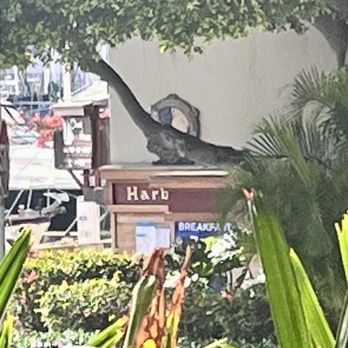 Harbor Pub & Pizza - Hidden entrance - Pizza Near Me - Honolulu, Hawaii Harbor Pub & Pizza - Hidden entrance - Pizza Near Me - Honolulu, Hawaii