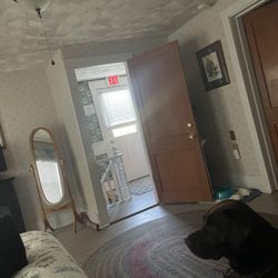 Paws Inn