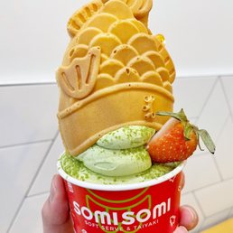 Tarp Filled Taiyaki