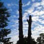 Lugo's Expert Tree Service