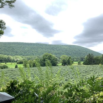 Inspire Moore Winery - Views - Wineries Near Me - Naples, New York