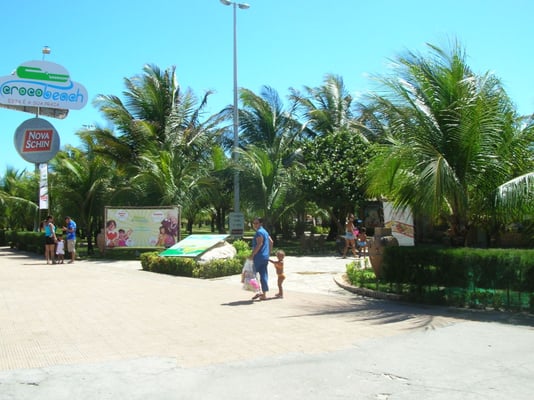 Crocobeach by null