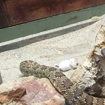 CALM Zoo - Zoos Near Me - Bakersfield, California