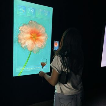ARTECHOUSE - Art Museums Near Me - Houston, Texas