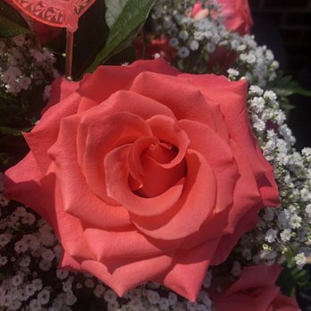 Family Florist - 7 days later and more beautiful than than the day I got them! Thanks again Elle! - Florists Near Me - Deer Park, New York Family Florist - 7 days later and more beautiful than than the day I got them! Thanks again Elle! - Florists Near Me - Deer Park, New York
