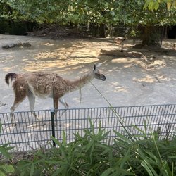 Zoo Dortmund