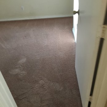 Steam Solutions Carpet Care - Carpet Cleaning Near Me - San Antonio, Texas Steam Solutions Carpet Care - Carpet Cleaning Near Me - San Antonio, Texas
