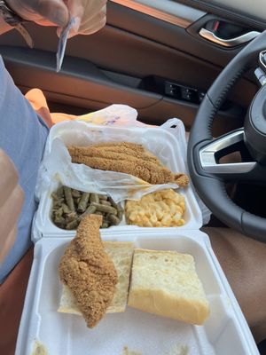 Williby's Catfish | Fresh Catfish Restaurant by null
