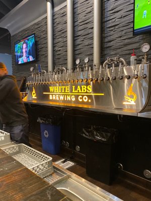White Labs Brewing Co - San Diego by null
