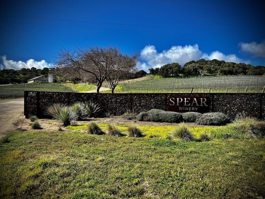 Spear Vineyards and Winery by null