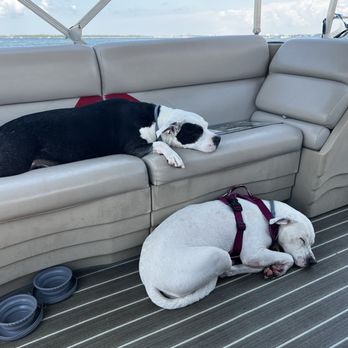 Lagoon Pontoons - All tuckered out by the end of our trip - Boating Near Me - Panama City Beach, Florida Lagoon Pontoons - All tuckered out by the end of our trip - Boating Near Me - Panama City Beach, Florida