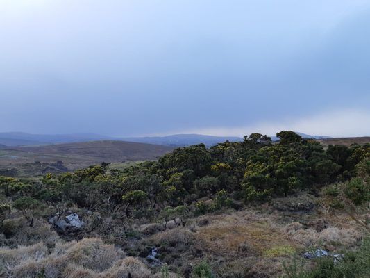 Diamond Hill by null