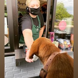 a woman handing a dog a cup of coffee