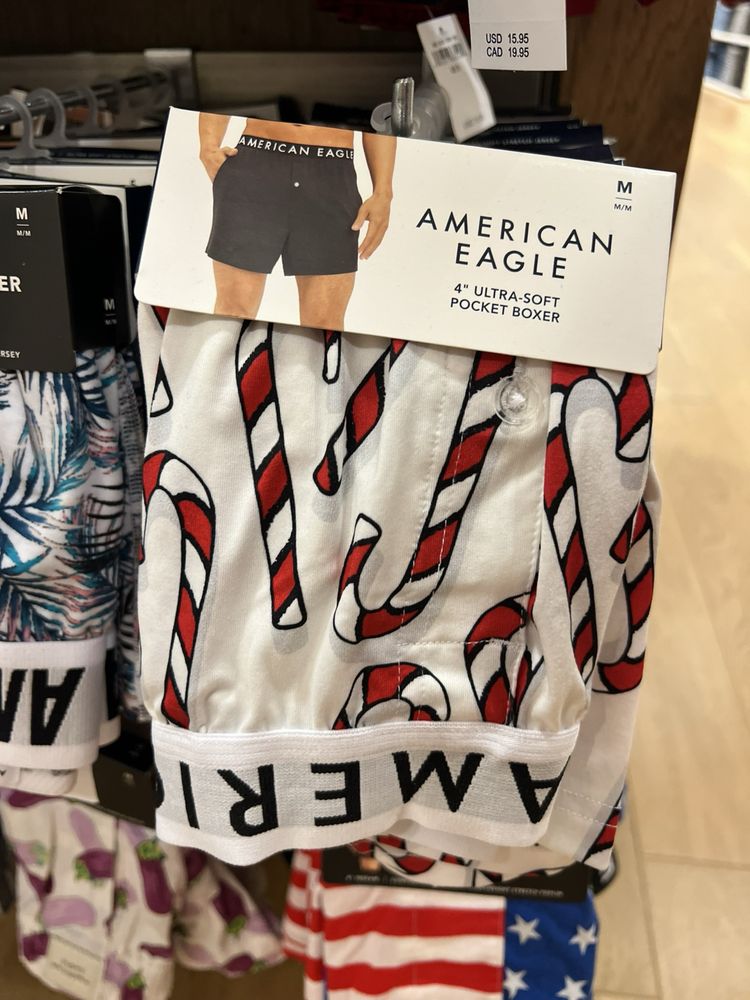 Hollister Logo