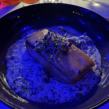 Mango's Tropical Cafe - Glazed salmon with creamy mushroom sauce - Dance Clubs Near Me - Orlando, Florida Mango's Tropical Cafe - Glazed salmon with creamy mushroom sauce - Dance Clubs Near Me - Orlando, Florida