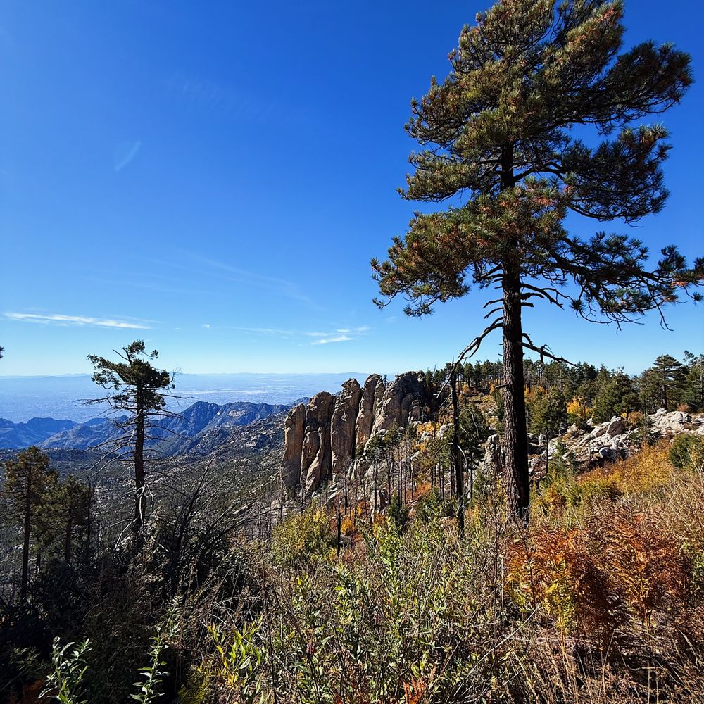Mount Lemmon - Meadow Trail - Hiking Near Me - Tucson, Arizona Mount Lemmon - Meadow Trail - Hiking Near Me - Tucson, Arizona