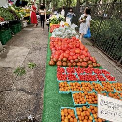 Phillips Farms - They said they sell at all the Grow NYC Farmers Markets. Excellent employees priced. 07/20/25