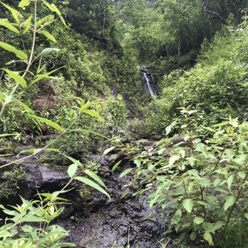 Kalalau Trail - Hiking Near Me - Hanalei, Hawaii Kalalau Trail - Hiking Near Me - Hanalei, Hawaii