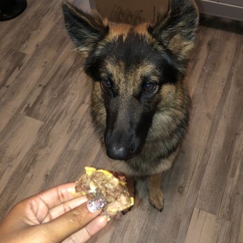 Bigz Burger Joint - Me feeding to dog, - Burgers Near Me - San Antonio, Texas