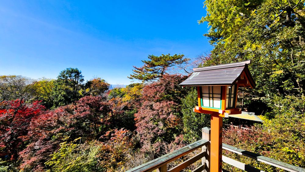 Todoroki Valley Park